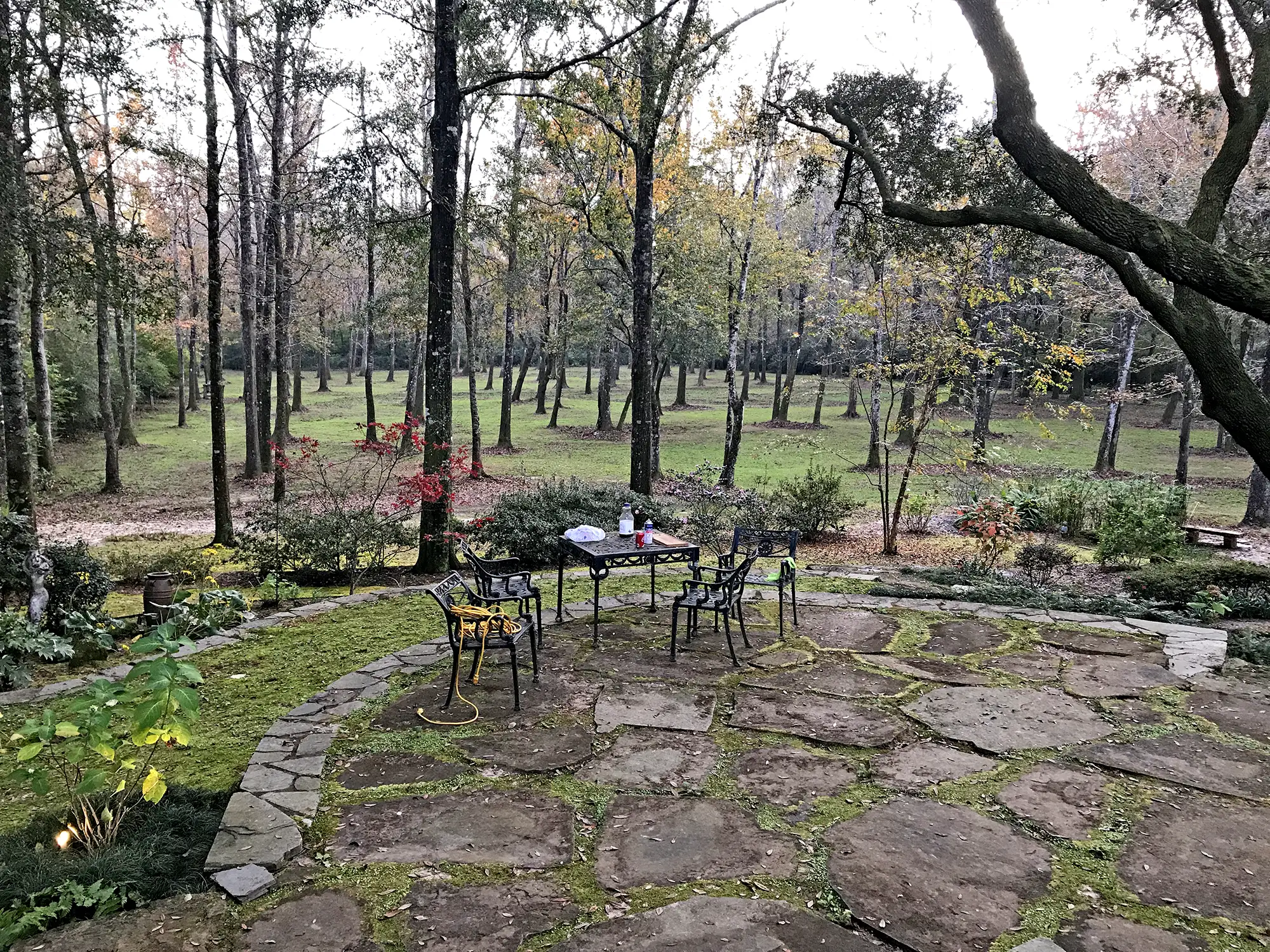 Middle Field